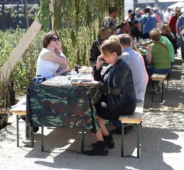 Стол складной 220×60 см