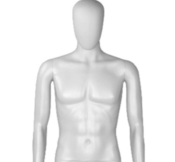 Торс мужской удлинённый с головой